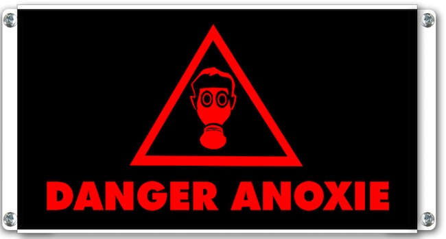 Panneau Lumineux Danger RIsque Anoxie